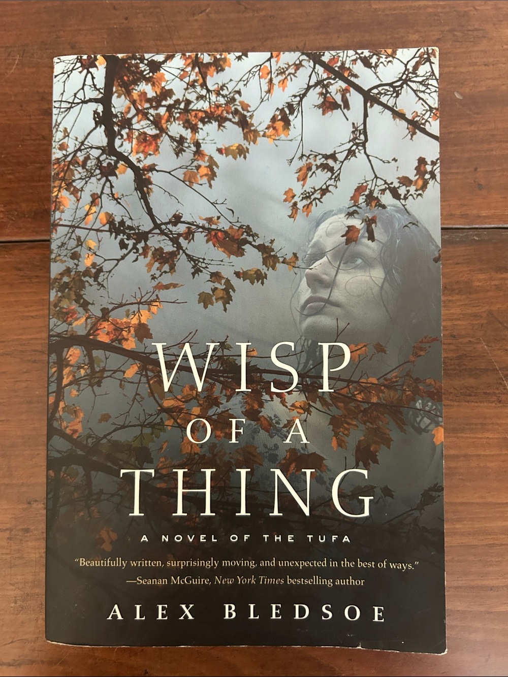 Wisp of a Thing by Alex Bledsoe